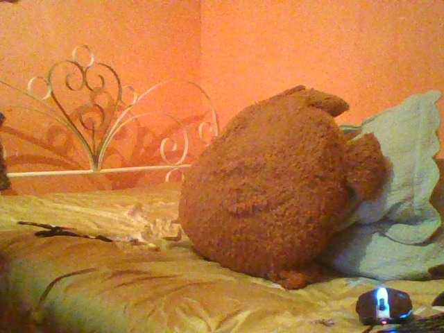 Live sex webcam photo for beautechoco #277479556