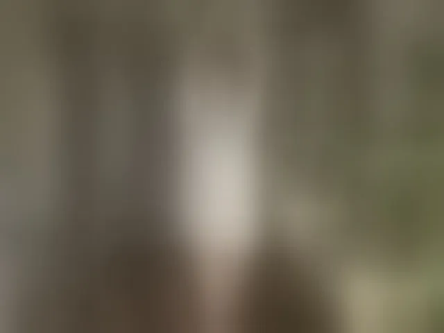 Live sex webcam photo for betruetoyourheart #292643121
