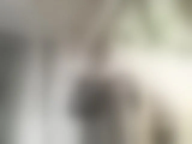 Live sex webcam photo for betruetoyourheart #293960050
