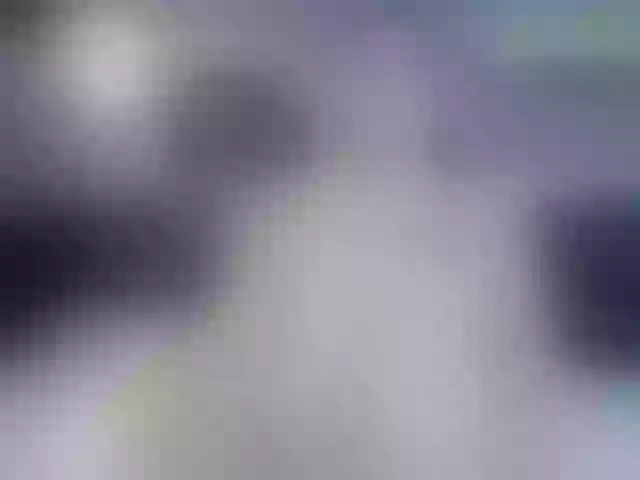 Live sex webcam photo for bigboobs-sex #271866412