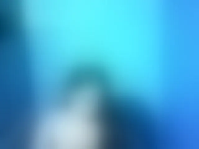 Live sex webcam photo for bigbooty24 #293881132