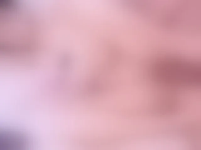 Live sex webcam photo for bils2203 #293921982