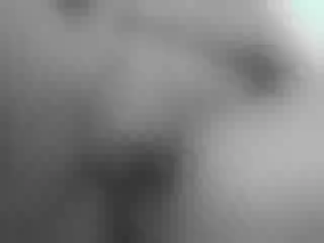Live sex webcam photo for blackittyx #276230546