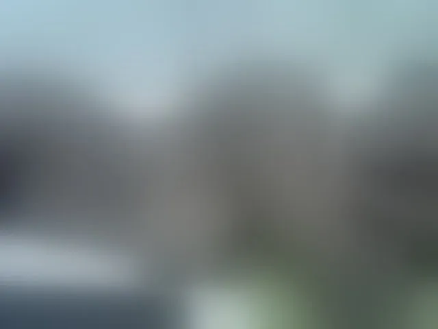 Live sex webcam photo for blackmelanin #290337570