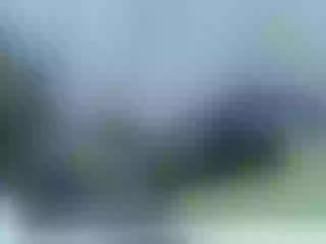 Live sex webcam photo for blackmelanin #290345022