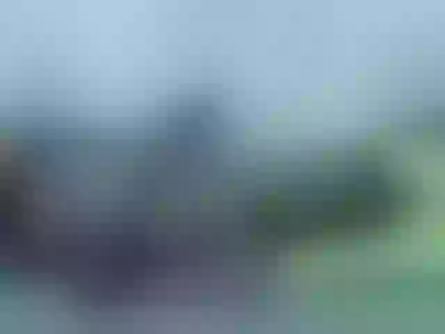 Live sex webcam photo for blackmelanin #290403891