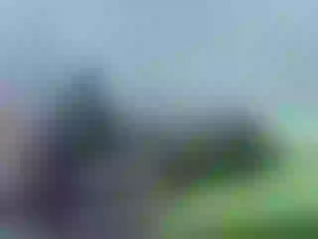 Live sex webcam photo for blackmelanin #290411106