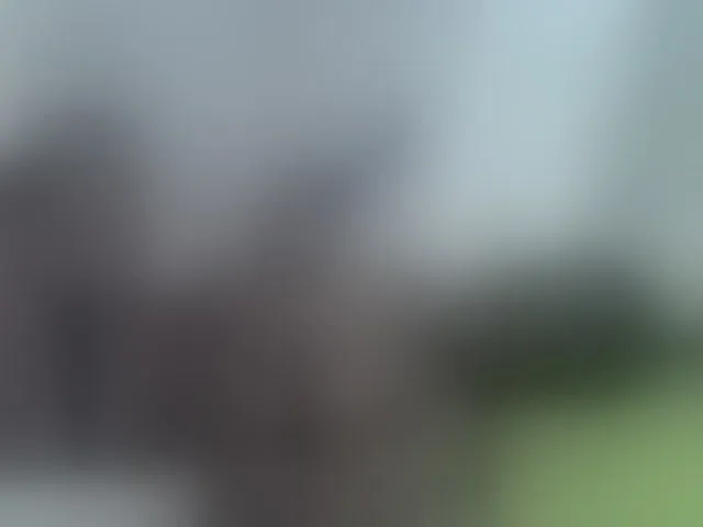Live sex webcam photo for blackmelanin #290495617