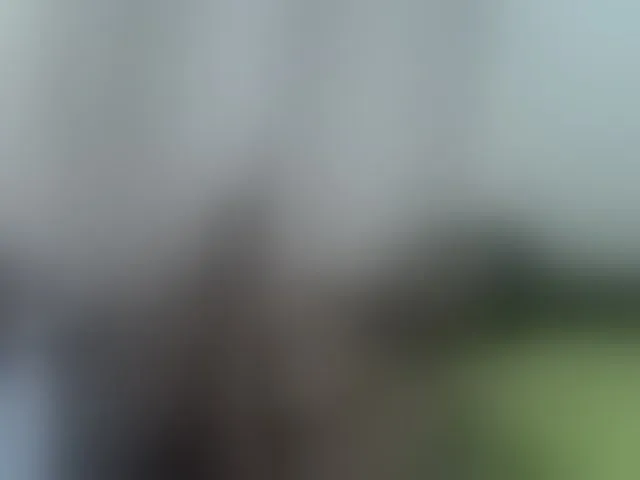 Live sex webcam photo for blackmelanin #291050697