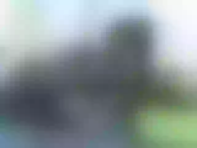 Live sex webcam photo for blackmelanin #291056247
