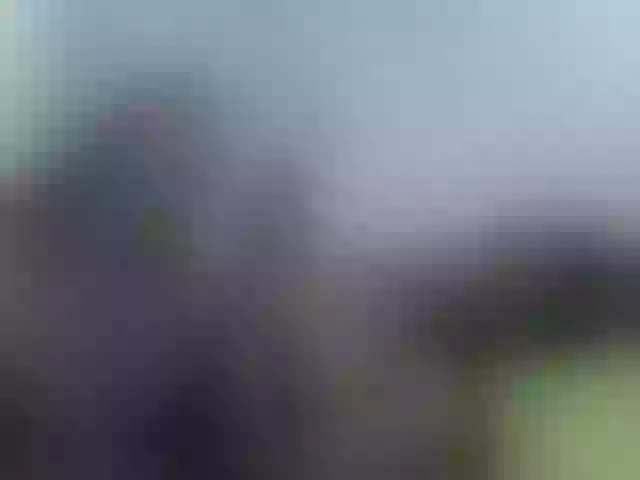 Live sex webcam photo for blackmelanin #291057374