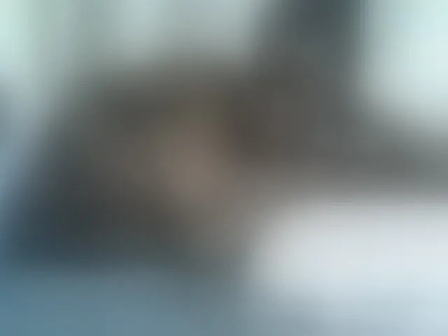 Live sex webcam photo for blackmelanin #291126849