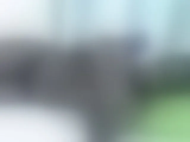 Live sex webcam photo for blackmelanin #291249008
