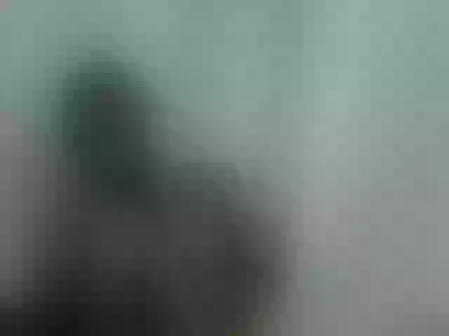 Live sex webcam photo for blackmelanin #291320460