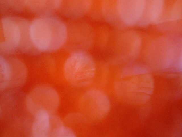 Live sex webcam photo for blackpearl51 #272078684