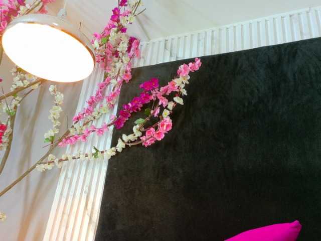 Live sex webcam photo for blaisysmith #292262948