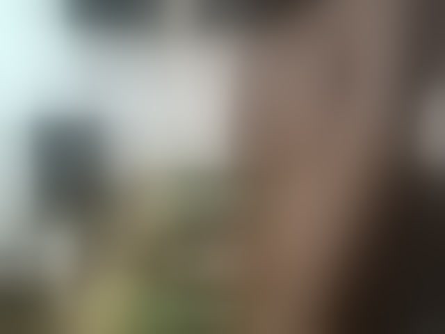 Live sex webcam photo for blaqqueen1