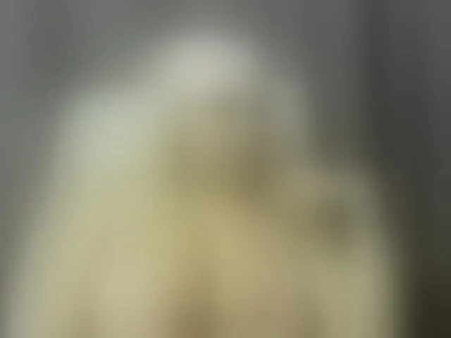 Live sex webcam photo for blondyhotxxx #273255563