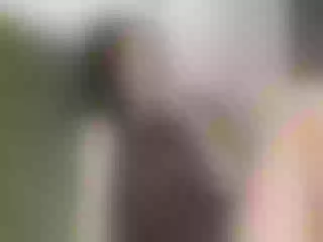 Live sex webcam photo for blprincess #291917004