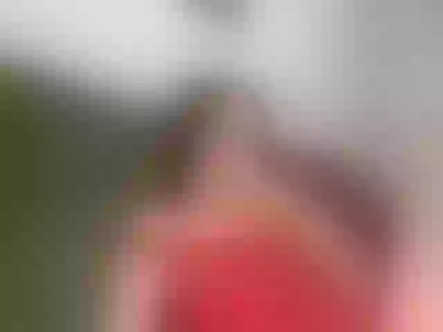 Live sex webcam photo for blprincess #291937708