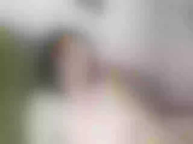 Live sex webcam photo for blprincess #291964496
