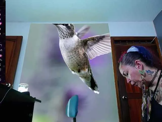 Live sex webcam photo for bluenena #276809057