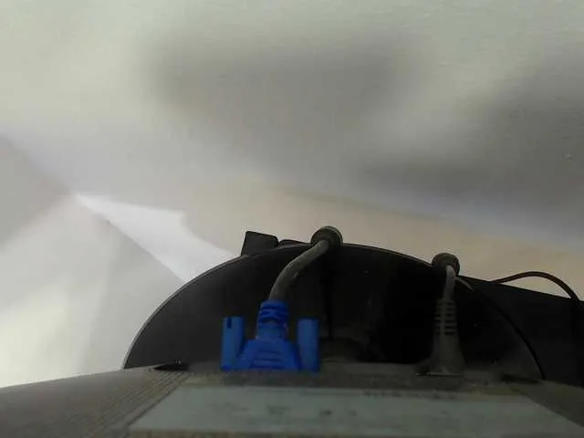 Live sex webcam photo for bobbynator #273529400
