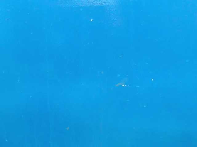 Live sex webcam photo for boddyballs #273777811