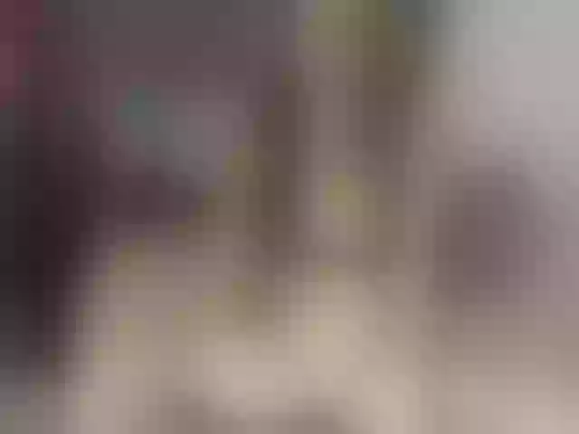 Live sex webcam photo for bodybrown #277799486