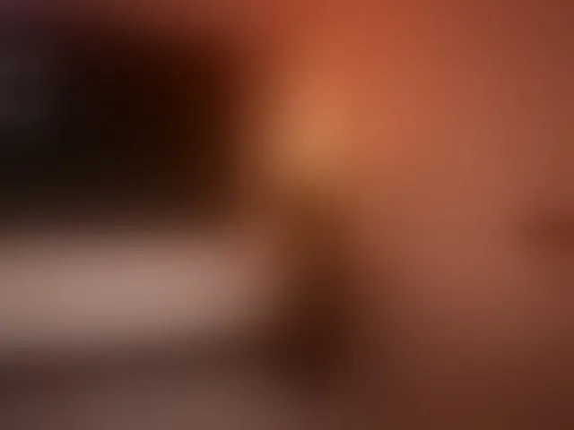 Live sex webcam photo for bogduzy #293164585