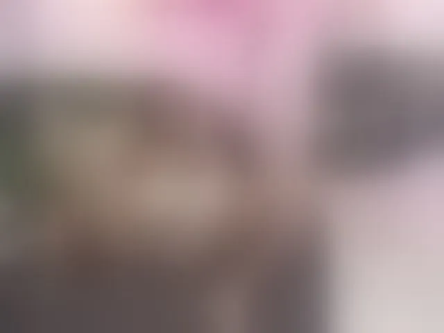 Live sex webcam photo for bonieklent #291891216
