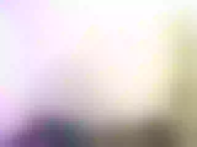 Live sex webcam photo for bonieklent #291931127