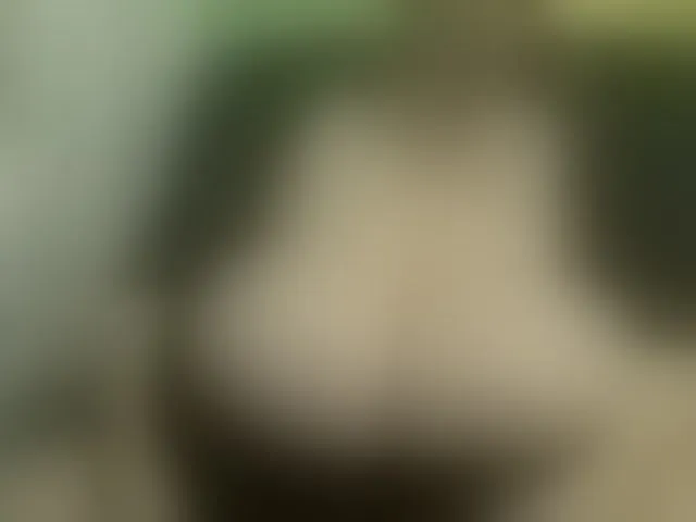 Live sex webcam photo for boobs44k #293517380