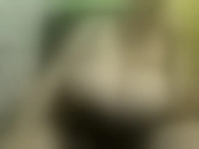 Live sex webcam photo for boobs44k #293644313