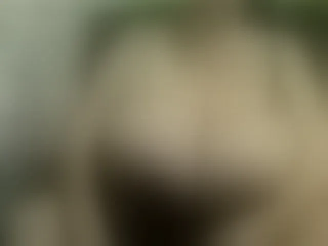 Live sex webcam photo for boobs44k #293717891