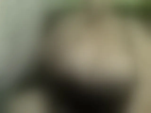 Live sex webcam photo for boobs44k #293723514