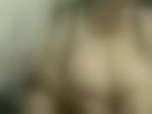 Live sex webcam photo for boobs44k #294003416