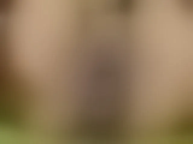 Live sex webcam photo for boundlessfu #271886513