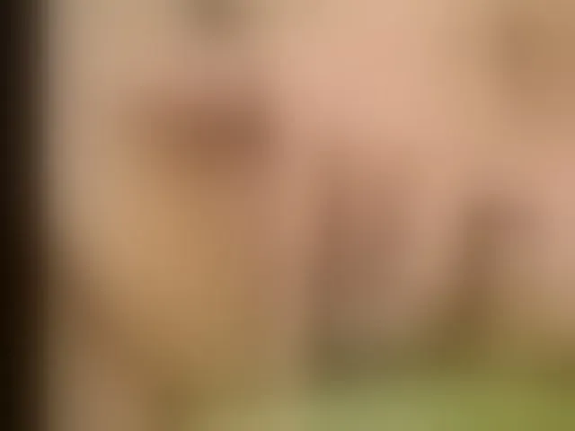 Live sex webcam photo for boundlessfu #272030255