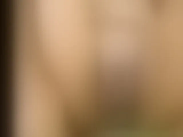 Live sex webcam photo for boundlessfu #272032347