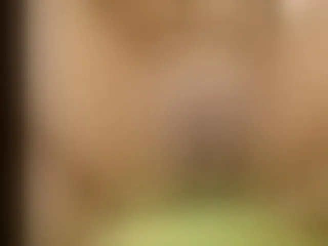 Live sex webcam photo for boundlessfu #272683150