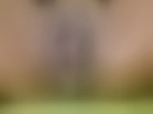Live sex webcam photo for boundlessfu #273234647