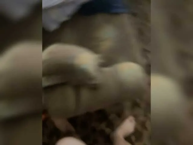 Live sex webcam photo for boy123023 #278068176