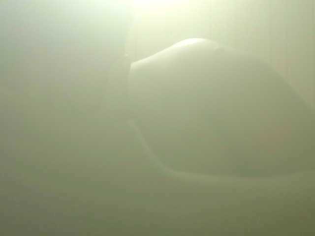 Live sex webcam photo for boycool885 #277568656