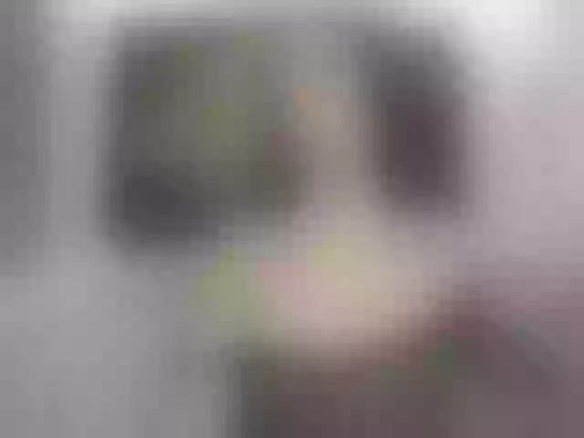 Live sex webcam photo for brianathompson #278233015