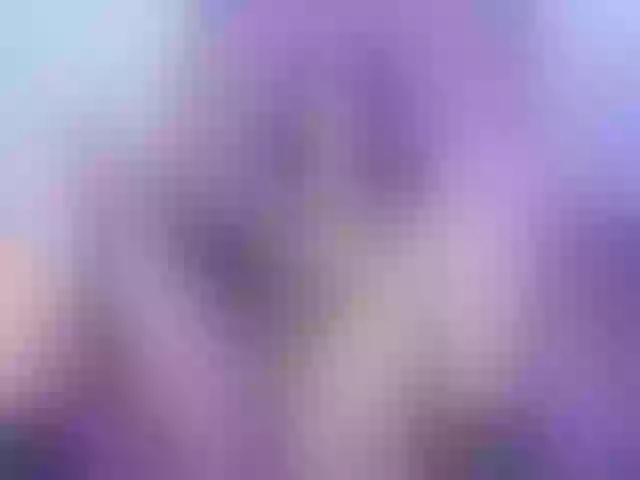 Live sex webcam photo for brissa-angels #273071908