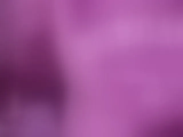 Live sex webcam photo for britt-grey #292833017