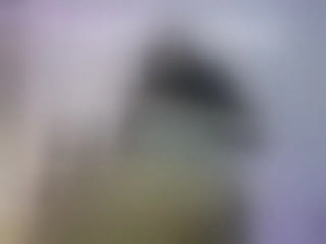 Live sex webcam photo for britt-grey #293176073