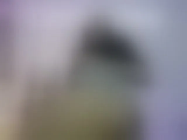 Live sex webcam photo for britt-grey #293255213