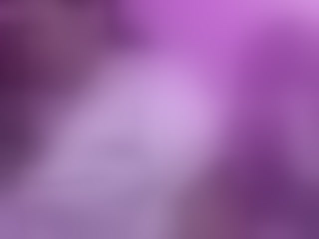 Live sex webcam photo for britt-grey #293582440